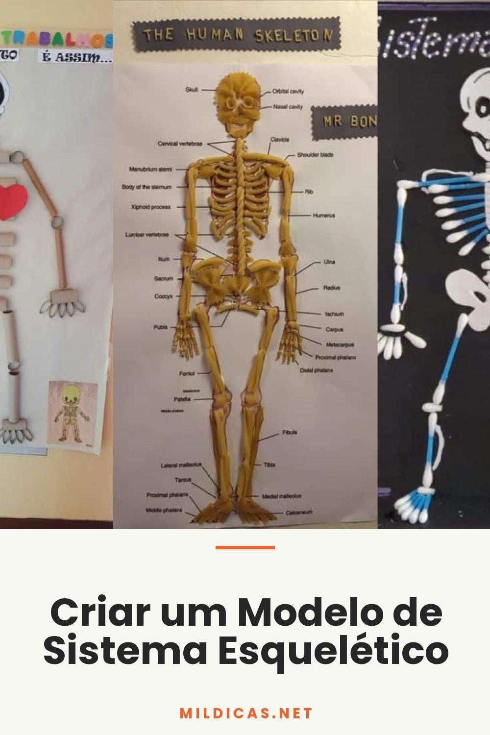 Criar um Modelo de Sistema Esquelético