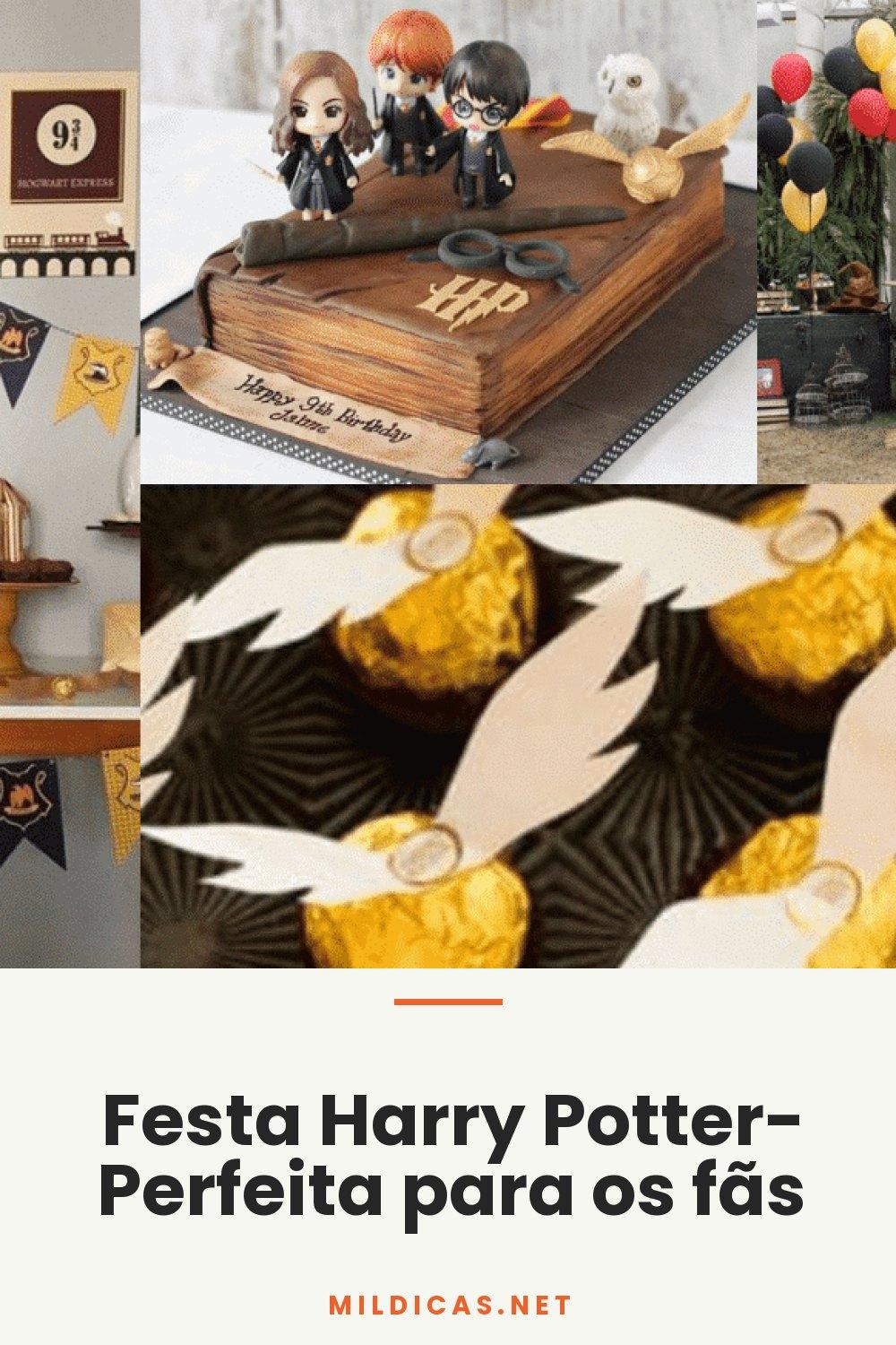 Festa Harry Potter- Perfeita para os fãs