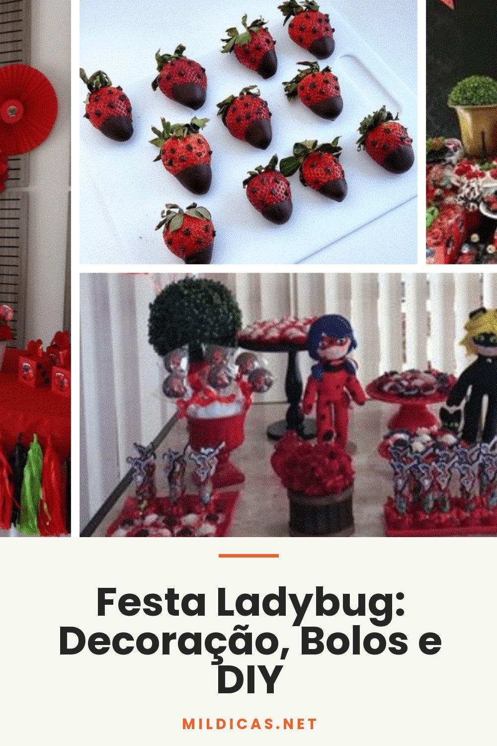 Festa Ladybug: Decoração, Bolos e DIY