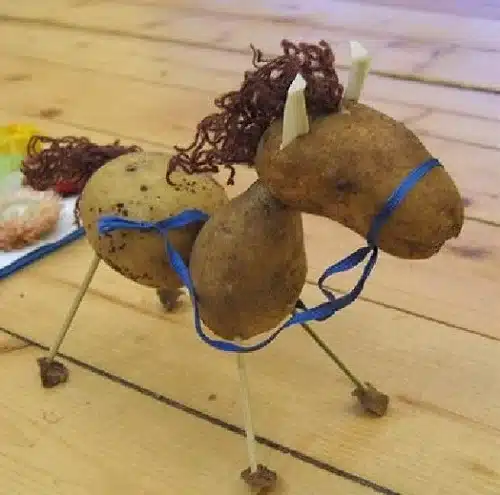 ideias fantasticas artesanais com batatas 5