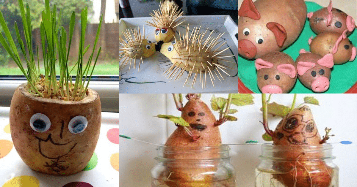 ideias fantasticas artesanais com batatas